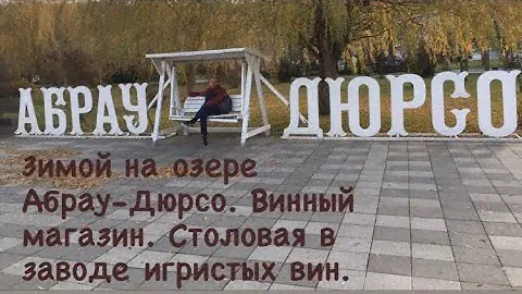 Абрау-Дюрсо зимой. Винный магазин, цены. Заводская столовая.